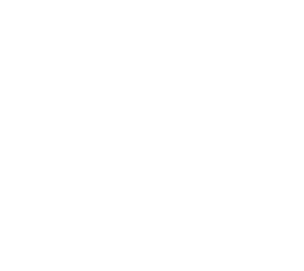 feature-item-1